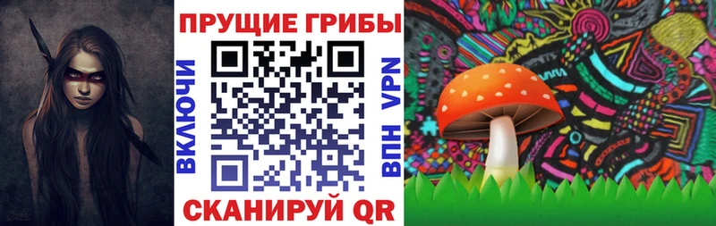закладка  Пермь  Псилоцибиновые грибы ЛСД 